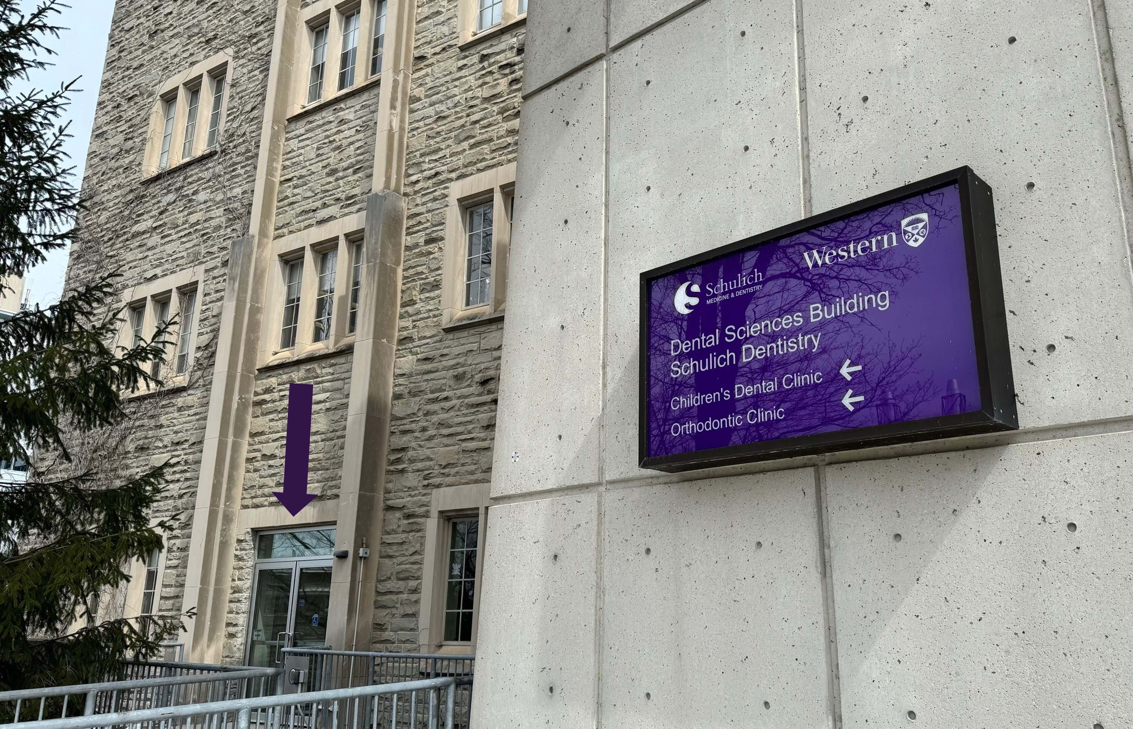 Door for children clinic